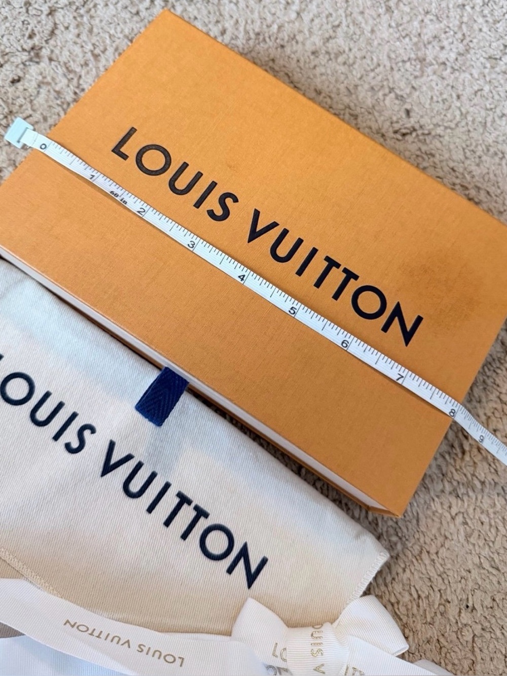 LOUIS VUITTON - Picture 8 of 12